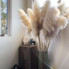 Dried Pampas Grass Reeds Plumes 140 Cm Decorative Feathers Etsy Trending Decor Pampas Grass Decor Grass Decor