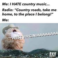 Texan cats when they get locked out of the bathroom their owners are using album on imgur cat memes cute cat memes animal memes. Take Me Home Country Roads Know Your Meme