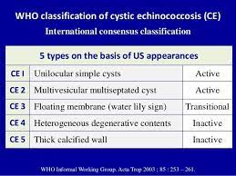 Subgroups of patients with liver hydatid cyst identified through classification tree analysis and their morphological type of the cyst gharbi's classification, especially type iii and iv. Gharbi Classification Usg Appearance Of Hydatid Cyst Medical Ultrasound Sonography Sinusitis