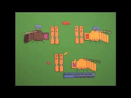 Genetic Linkage And Mapping Learning Science Genetics Molecular Genetics