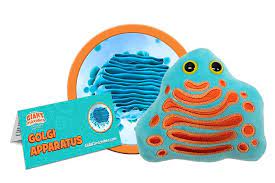 Maybe you would like to learn more about one of these? Golgi Apparatus