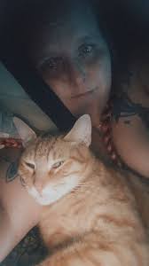 shared post 🔻 MISSING/LOST Last seen in Fairview Heights, Illinois