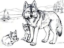 Wolves are beautiful and powerful creatures, the perfect subject for adults to color. Pin On Ausmalbilder Mandala
