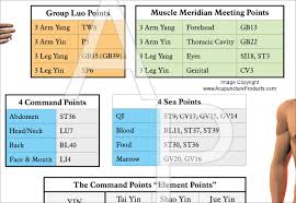 Acupuncture Point Classifications Poster 24 X 36