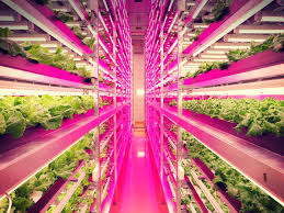 (bli), makes the most efficient cmh and led grow lights. Localvore Revolution Vertical Urban Farms Promise To Deliver Greener Produce Urbanist