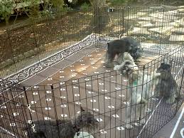 Check spelling or type a new query. Dog Pen Fence Setup While Camping Forest River Forums