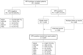 There are about 100 types of hpv that affect different parts of the body. Carcinogenic Risk Of Human Papillomavirus Hpv Genotypes And Potential Effects Of Hpv Vaccines In Korea Scientific Reports
