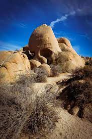 Skull Rock Joshua Tree National Park National Parks Joshua Tree National Park National Parks Usa