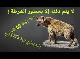 هل تعلم لماذا لايتم دفن الضبع إلا بحضور الشرطة و محضر قضائي youtube lockscreen