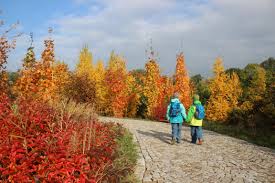 Offnungszeiten Und Preise Forstbotanischer Garten Tharandt