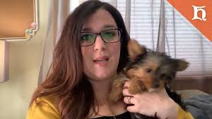 Checking in with the #BergFamily is Dr. Meagan McBride (and her dog  Guinness) of the Master of Arts in Counseling program.
