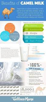 Due to its undeniable health. Health Benefits Of Camel Milk