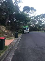 Various Tree Jobs Engadine Nsw Tree Acer Palmatum Job