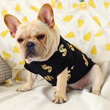 Shop clothes, sweaters, hoodies, shirts for french bulldog. The Finest Shirts For French Bulldogs In 2020 French Bulldog Breed