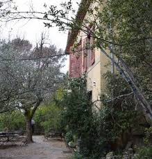 Pin On Gardens