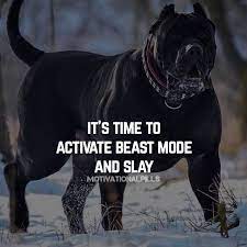 It S Time To Activate Beast Mode And Slay Warrior Quotes Gangsta Quotes Genius Quotes