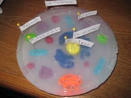 Check spelling or type a new query. Animal Cell Model Great Way For Students To Learn About The Different Parts Of A Cell Through Creating Labeling Cells Project Animal Cells Model Cell Model