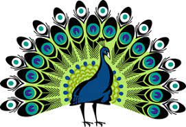 Peacock Png Clipart And Images Peacock Drawing Art Nouveau Illustration Peacock Art