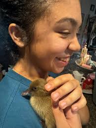 1st bath today. So damn cute 🐥