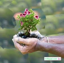 The earth day 2021 theme is restore our earth. World Earth Day 2021 Date Theme Celebration In Nepal