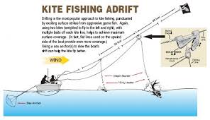 Kite Fishing Rig Diagram Wiring Diagrams