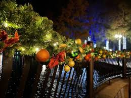 Throughout the year, there are tons of free activities (like movie showings), so bookmark this calendar. Lake Eola Park 2148 Photos 339 Reviews Parks 512 East Washington St Orlando Fl Phone Number
