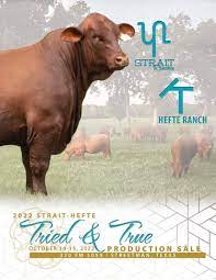 2022 Strait-Hefte Tried and True Production Sale Catalog by Ranch House  Designs - Issuu
