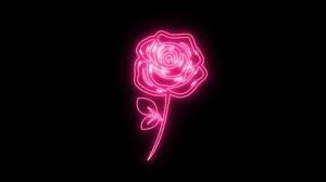 We did not find results for: Beautiful Rose Wallpaper Stock Video Footage 4k And Hd Video Clips Shutterstock