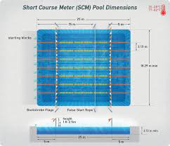Semi olympic pool drawing dwg download. Swimming Pool Dimensions Swimming Pool Dimensions Swimming Indoor Swimming Pools