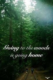 Letsgoforahike Nature Quotes Hiking Quotes Walk In The Woods