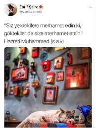 zarif saire adli kullanicinin twitter zarifsairem panosundaki pin guzel soz