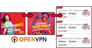 Tak heran jika kini ada banyak sekali macam aplikasi untuk internet gratis. Config Openvpn Telkomsel Unlimited Gatcha Org