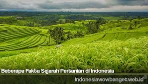 Hasil Pertanian Indonesia Wow Banget