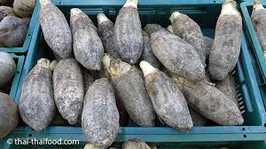 Taro (taro) delivered earnings and revenue surprises of 29.76% and 7.23%, respectively, for the quarter ended june 2021. Taro Wurzel Puak à¹€à¸œ à¸­à¸ Wasserbrotwurzel Thai Thaifood De