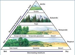 the world biomes is divided in two parts that are land and