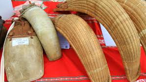 La compétition a eu lieu du 12 au 23 mai 2021 à budapest en hongrie. Suivez Les Championnats Du Monde De Pelote A Barcelone Avec France Bleu Pays Basque