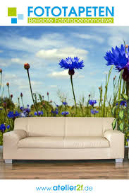 Blumenmotiv Fototapete Sg Kornblumen Wandbilder Wohnzimmer Wandgestaltung Homedesign In 2020 Fototapete Tapeten Bilder