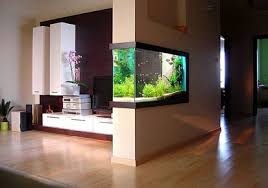 The elements of fish aquarium i.e., water and fishes hold symbolic value which brings about the difference. Asianet Breaking News Kerala Local News Kerala Latest News Kerala Breaking News News