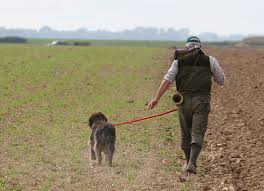 6,068 likes · 9 talking about this · 29 were here. Covid 19 Feu Vert A La Chasse Dans L Orne L Agriculteur Normand