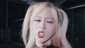 une blanc et Orange chat avec une violet collier 49982789 Vidéo de stock  sur Vecteezy