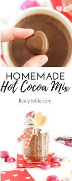 Homemade Dark Chocolate Hot Cocoa Mix Recipe Hot Cocoa Mixes Dove Chocolate Recipes Homemade Hot Cocoa