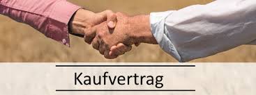 Die geschäftsfähigkeit regelt, wann eine person verbindliche rechtsgeschäfte abschließen kann. Musterkaufvertrage Fur Verkaufs Abwicklungen