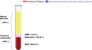 Four functions of the blood. Composition Of Whole Blood Blood Plasma And Formed Elements Download Scientific Diagram