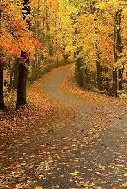 Check spelling or type a new query. Clifty Falls State Park Autumn Scenery Autumn Scenes Fall Pictures