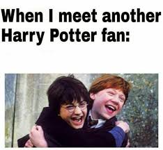 30 Hilarious Harry Potter Memes Harry Potter Memes Hilarious Harry Potter Puns Harry Potter Jokes