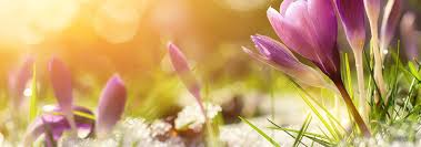 Der frühling oder lenz, auch das frühjahr genannt, ist eine der vier jahreszeiten und folgt auf den winter. Fruhlingsanfang Wetterlexikon Von A Bis Z