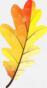 Memiliki daun seperti bentuk bantalan. Warna Daun Musim Gugur Kuning Warna Daun Musim Gugur Daun Musim Gugur Kuning Botani Cat Air Daun Daun Png Pngwing