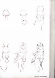34 Trendy Ideas For Painting Horse Head Horse Drawings Animal Drawings Art Tutorials