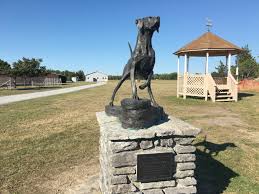 Parks places of interest tourist information & attractions. A State Park For The Dogs By The Cliffs Of Lake Ontario Ncpr News