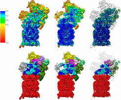 The main function of the proteasome is to degrade unneeded or damaged proteins by proteolysis, a chemical reaction that breaks peptide bonds. Structure Of The Human 26s Proteasome At A Resolution Of 3 9 A Pnas